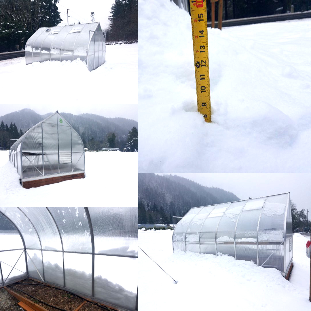 winter ClimaPod Virtue 9x14 Greenhouse heating