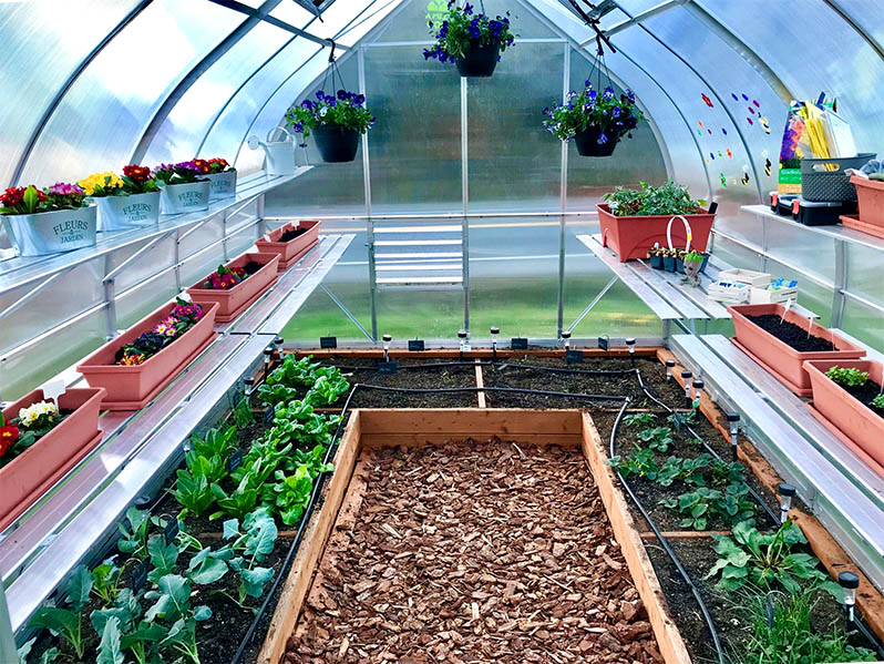 a high tunnel greenhouse with plants and flowers inside