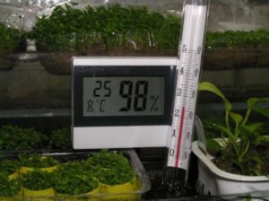 Greenhouse temperature: Microclimate inside the greenhouse
