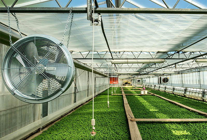 large greenhouse ventilation fan big