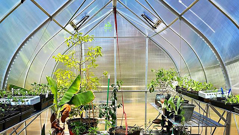 all weather greenhouse