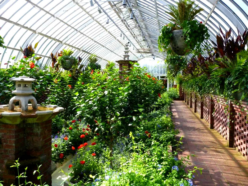 Home Greenhouse