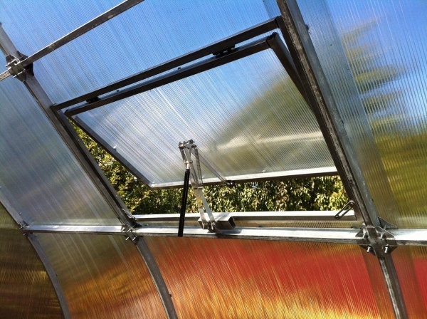 window leaf helps regulate greenhouse temperature