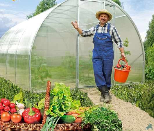 happy gardener in front of greenhouse