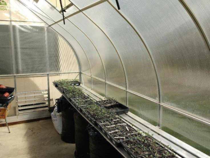 greenhouse 9x14 with shelving : ClimaPod Greenhouses Testimonials