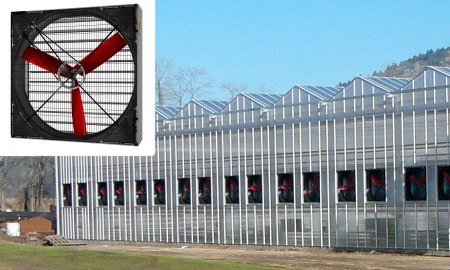 big ventilation fans for the greenhouses