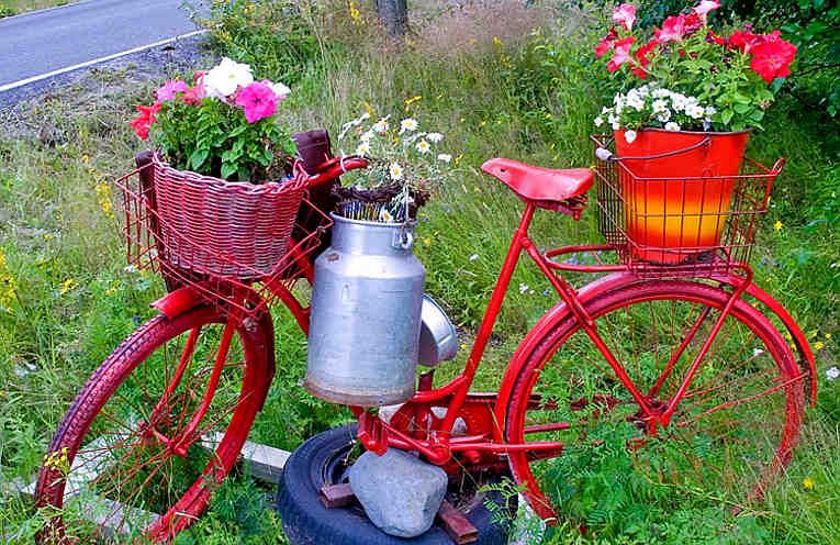 The original flower bed using the bicycle