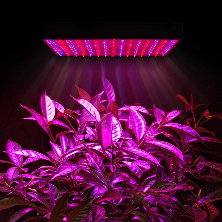 Red Blue LED Plant Grow Light Panel