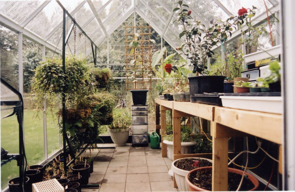greenhouse interior ideas