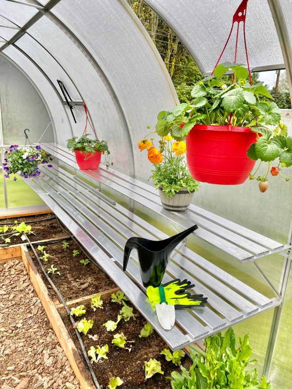 Arched greenhouse 9x14 with shelving