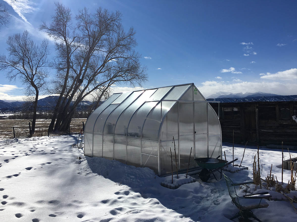 climapod winter greenhouse 2019