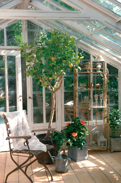 greenhouses are not only for gardening