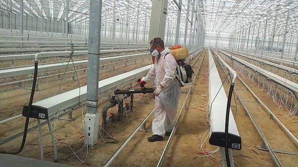 greenhouse disinfection