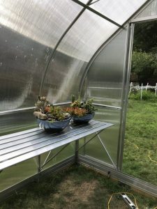 R Climapod customer Virtue 9x14 greenhouse kit review 11