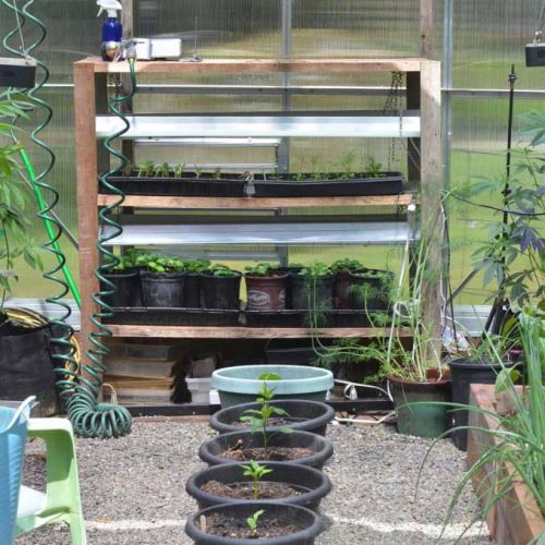 Dedrian C Climapod 9x14 greenhouse review 02