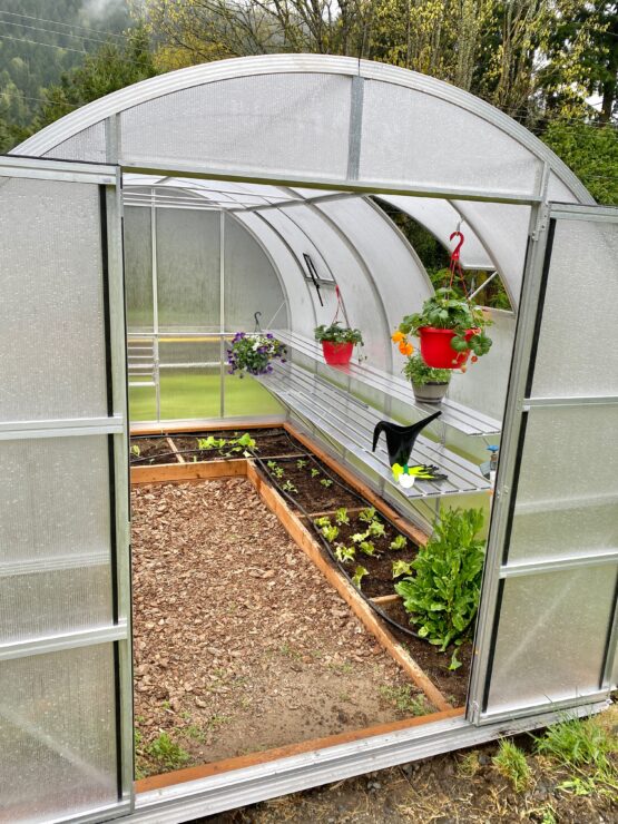 The Polycarbonate Discovering History - ClimaPod Greenhouses