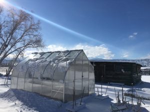 David R 2019 climapod 9x14 greenhouse review 01
