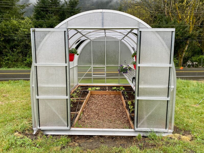 the correct location of the greenhouse will help to avoid the appearance of moss and algae on the soil