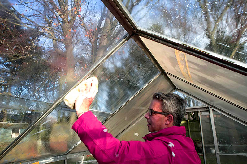 Wash the walls and frame of the greenhouse in fall