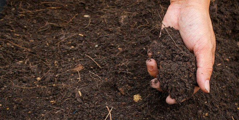 Soil type in the garden - how to determine and improve the structure