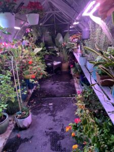 ClimaPod Greenhouse 9x14 Customer Review facebook