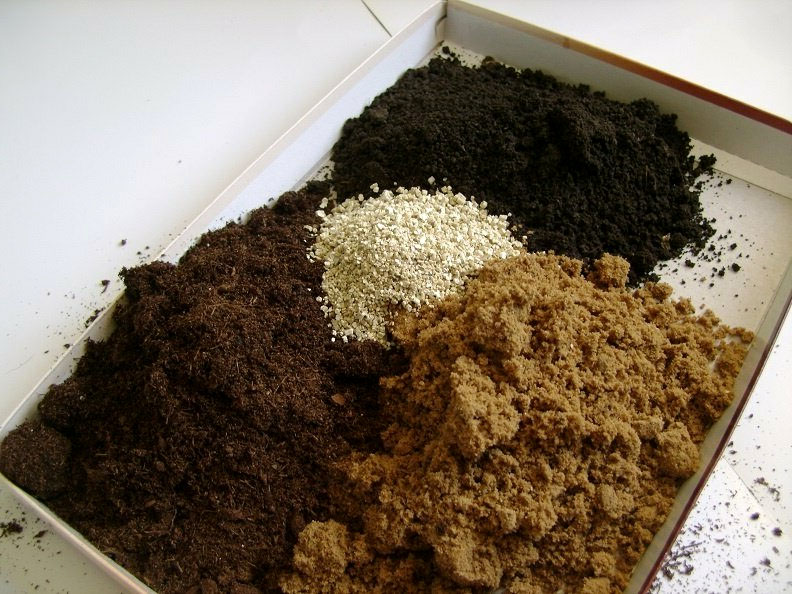 The substrate is made from soil, humus and compost