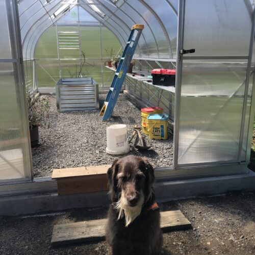 John A-X. M ClimaPod greenhouse review 03