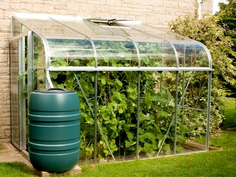 Drip irrigation of a greenhouse from a barrel