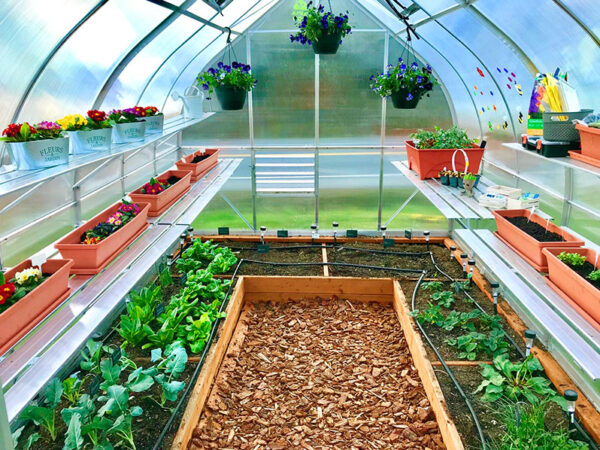 Cellular or solid - which polycarbonate to choose for greenhouse?