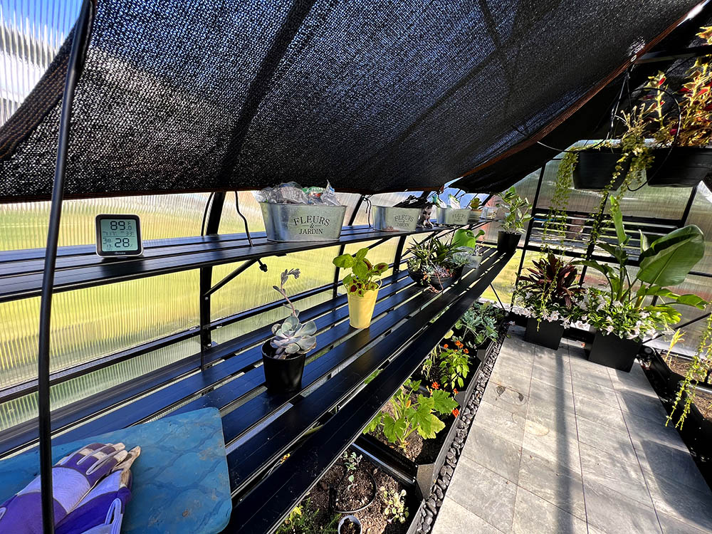 Greenhouse Image 2