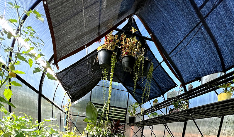 Shade cloth for greenhouse shading