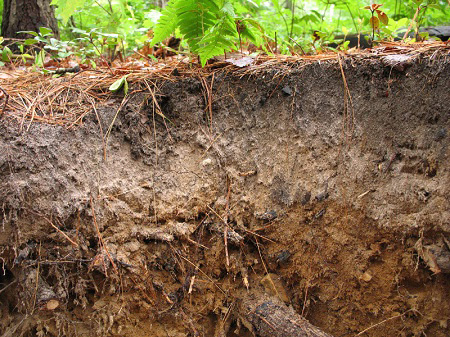mixed soil