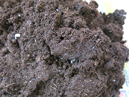 peat soil