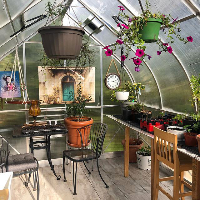 pot flowers inside the Climapod Greenhouse