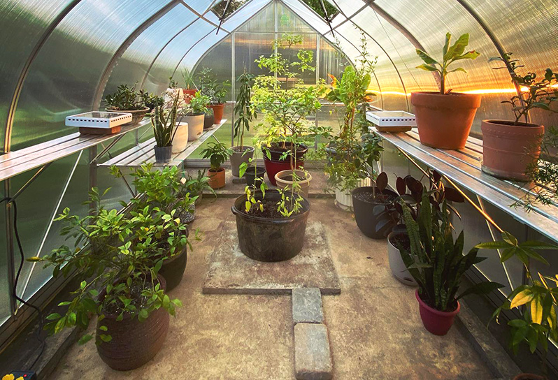 Concrete greenhouse floor idea