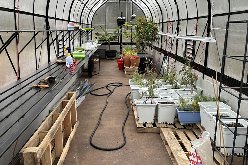 Concrete floor in a greenhouse