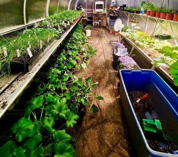 Don't Let Poor Soil Sabotage Your Greenhouse Harvest