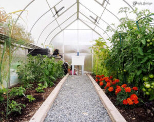 greenhouse paths materials options