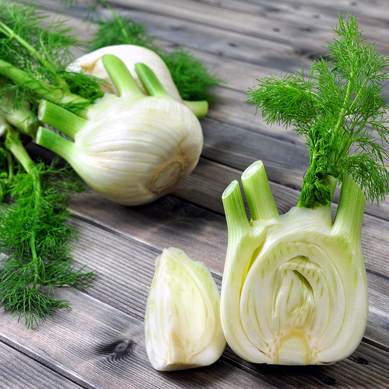 fennel