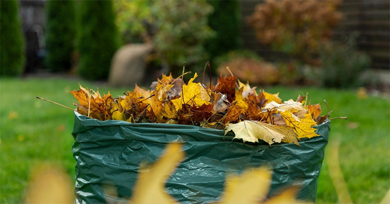 Save Money, Grow More: Biofuel from Scraps for Your Greenhouse