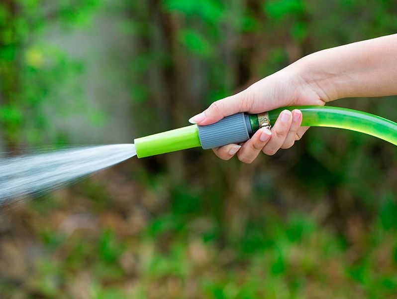 Gardening mistakes: too frequent watering