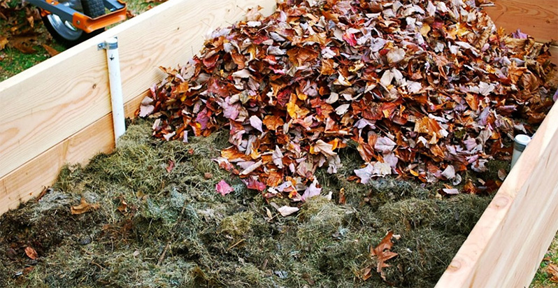 warm bed with fallen leaves