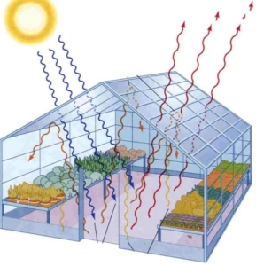 heating of the greenhouse