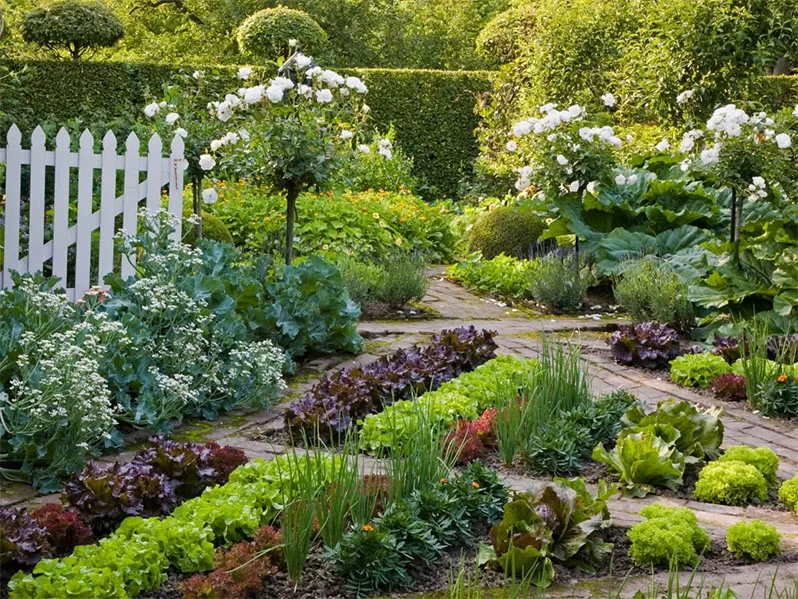 Gardening in Small Spaces