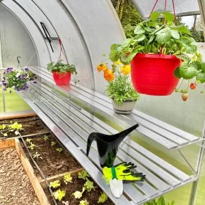 Arched greenhouse 9x14 with shelving