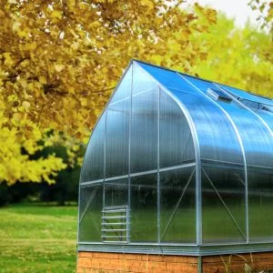 fall climapod passion photo