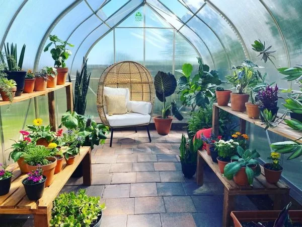 ClimaPod 9x14 Greenhouse Kit interior with flowerpots photo from customer
