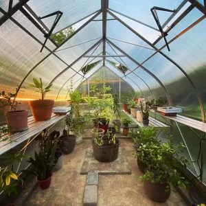 ClimaPod Virtue 9x14 Greenhouse Kit customer photo inside