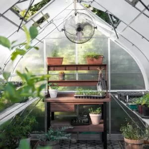 ClimaPod Virtue White HD Greenhouse Kit 9x14 interior photo from @velcometovita