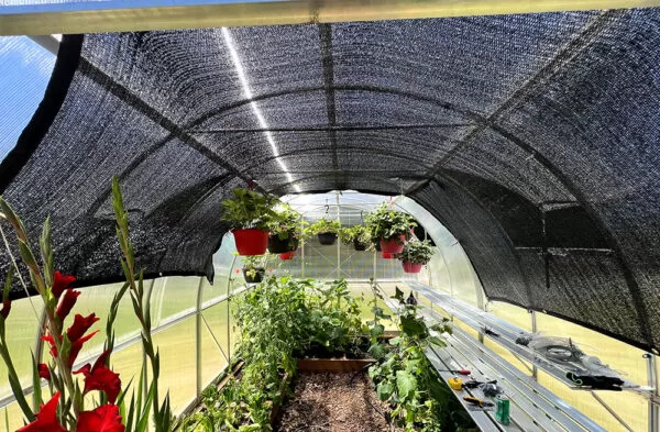 Shade Cloth inside the ClimaOrb Arched 9x14 Greenhouse